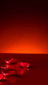 The Magdelena Codes of 556 are mystical,sublime,spiritually holy & pure. Connection to God/Divine with the Magdelena codes are so close, its like the voice of God connects in through the divine Feminine Coding of the Magdelena 556 to be imbued on Earth. It’s to bring the truth of Purest Cosmic Energies of pure love, higher spiritual wisdom & purest spiritual power completely touched by the Hand of God Only. The purpose is for Earth to imbue the purity of love & light again & fully re-establish h