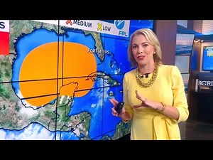 How development in the Gulf could impact SWFL