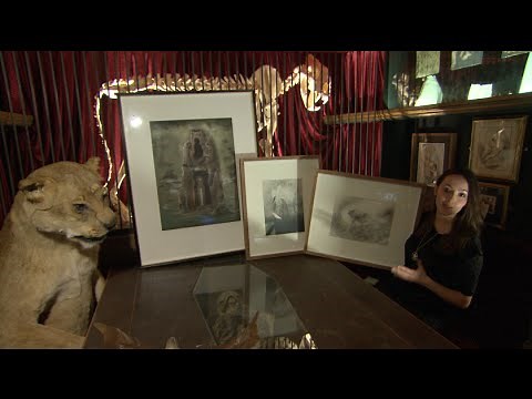 Witches and Wicked Bodies: A ZCZ Films Halloween Special