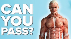116K views · 119 reactions | Can You Pass A Basic Anatomy Test? | BuzzFeed Video | Facebook