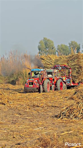 Unlocking Your Account: A Step-by-Step Guide