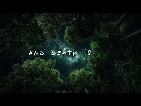 Fear Is Not My Future | Brandon Lake & Chandler Moore (Worship Lyric Video)