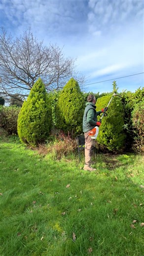 Satisfying Haircut Clip for Garden Enthusiasts