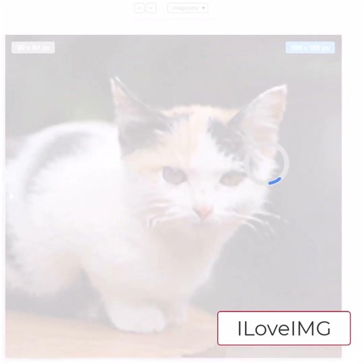 Upscaling Images using ILoveIMG
