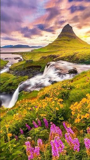 Revealing the Secret of the Flower Steppe as Beautiful as in a Painting! #naturesnow#shorts #nature