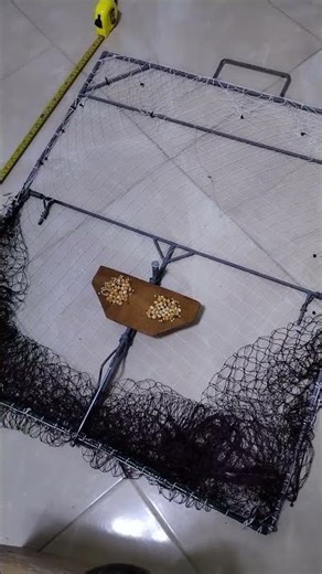 Extra large bird trap,Studies on bird ,Crow trap Corvid trap Duck goose Humane #badminton #birdtrap