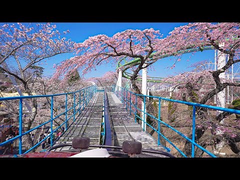 日本一綺麗な満開の桜を堪能できるアトラクション「スカイジェット」宮城県仙台市八木山ベニーランド