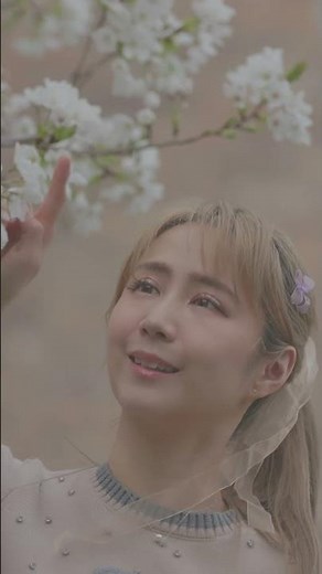 Happy Spring Day to you 🌸 #sakura #桜