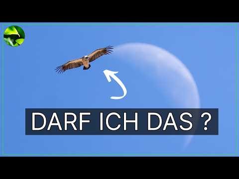 Is THIS still photography? I dismantle the criticism of image editing 📸