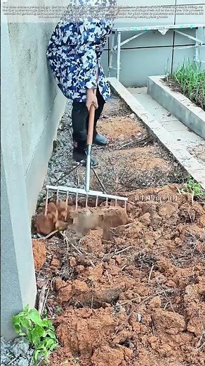 Tilling the Soil: The Key to Healthy Gardening