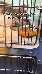 2.4K views · 6.2K reactions | Linda She is a paralyzed cat who has...