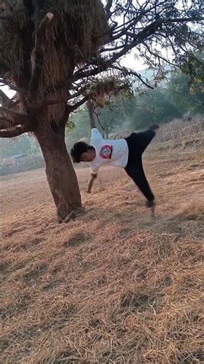 teambackflip shortvideos publicreactin #flip