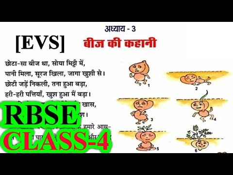 बीज की कहानी | Class 4 EVS Chapter 3 | RBSE | Question Answers | Beej Ki Kahani #evs #rbse #class4