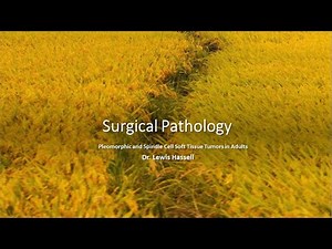 SpIndle Cell and Pleomorphic Soft Tissue Tumors in Adults, Part 1