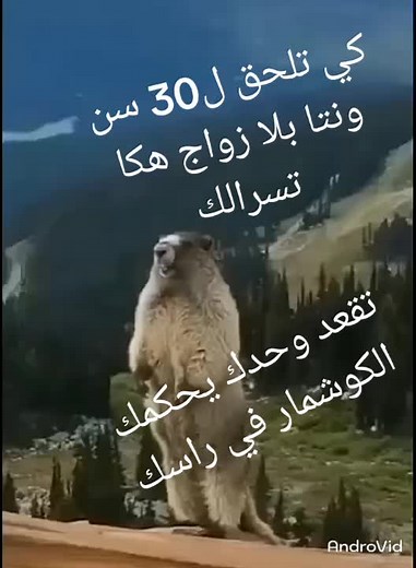 مروان sur TikTok