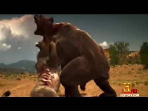 American Lion vs Short-Faced Bear | Ice Age Monsters