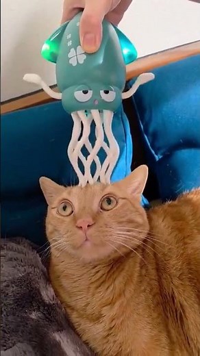 When an Alien Tries to Understand a Cat’s Thoughts 😂 #shorts