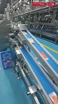 Dual-Lane Disorderly Sorting System — High-Speed Snack Line Feeding | Echo Machinery