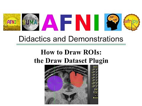 [AFNI Academy] How to draw ROIs: the Draw Dataset Plugin