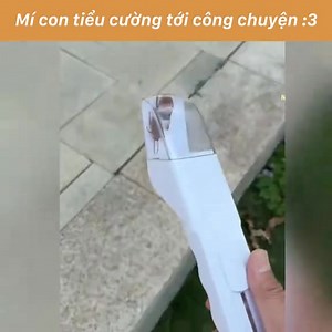 3.6K views | #musicunity ️ | MUSIC UNITY | Facebook