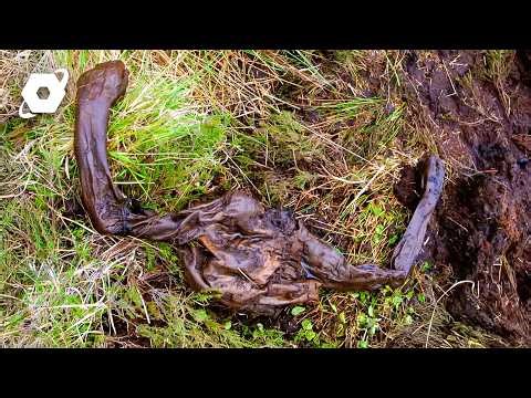 2,000-Year-Old Mummy Revealed To Be A Sacrificed King