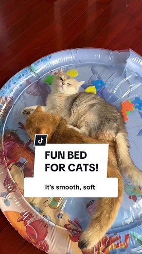 Fun Cat Water Bed for Ultimate Cat Enjoyment