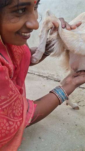 162K views · 750 reactions | #new #video #facebook #photochallenge #short #photography #fff .. | Bhanumati Fun | Facebook