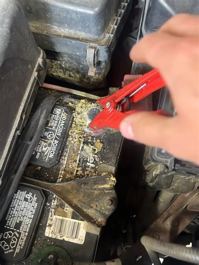 Car Maintenance Tips: Under the Hood Essentials