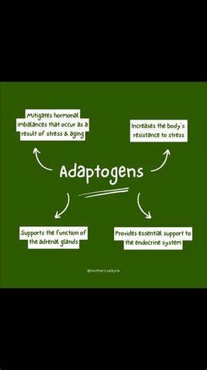 Adaptogens are a unique class of herbs that help the body adapt to physical, emotional, and environmental stressors. They work by modulating the stress response and restoring physiological balance. Adaptogens influence the neuroendocrine system, particularly the hypothalamic pituitary adrenal axis, often referred to as the HPA axis. The HPA axis regulates cortisol output, immune signaling, metabolism, and inflammatory processes. When stress becomes chronic, this system can become dysregulated, l