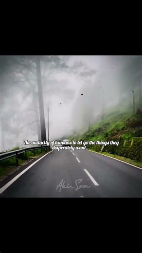 The audacity 🫠🤌🏻 #audacity #edit #ytshorts #shorts #aesthetic #trueline #relatable #mountains