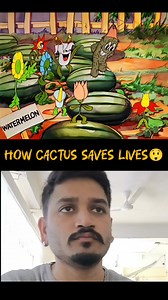 How cactus 🌵 Saves Lives 😂 Follow for more 🫰🏻🫰🏻 . . . . . . . . #cartoonsforkids #funnyvideos #reaction #90skid #cartooning #mickeymouse #oldcartoon #classiccartoons #cartoonnetwork #cartoon | Cartoon Special