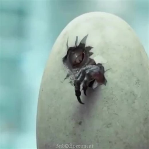 |indominus rex|edit|#hybrid #jurassicpark #jurassicworld #indominusrex