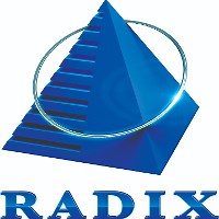 Working at RadixWeb