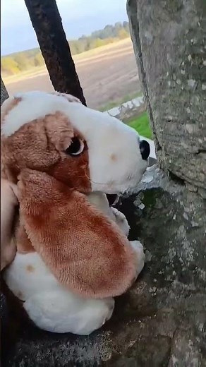 at a COOL building #shorts