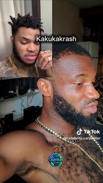 Celebrity Carpenter on TikTok