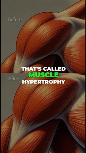 How muscles actually grow 🤯