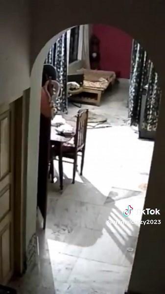 Leopard invades house and attacks pitbull!!! #animals #leopard #pitbull