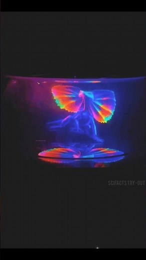 Make a Real Hologram at Home | DIY 3D Hologram Using Phone #hologram #magic #diy #3d #experiment