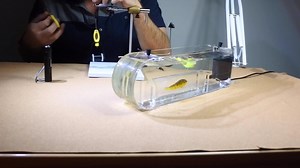 2.9K views · 134 reactions | Limited pre-orders are now available for the NEW 2020 Edition Fly Tester! Share if you want a Fly Tester for your fly tying den and click the link below to learn more about this revamped edition of the Fly Tester. https://flymenfishingcompany.com/products/fly-tester | Flymen Fishing Co. | Facebook