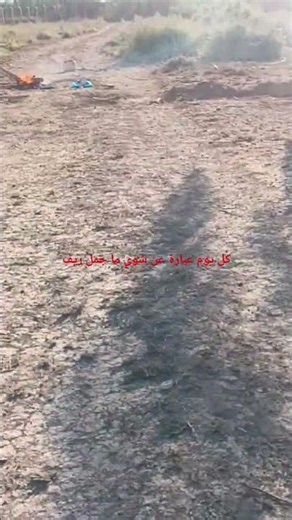 ٩ يوليو ٢٠٢٦