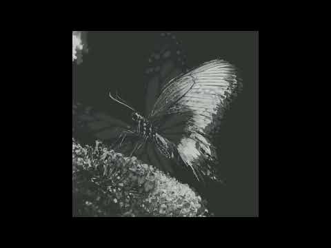 2015 kendrick lamar x to pimp a butterfly storytelling type beat | want the funk