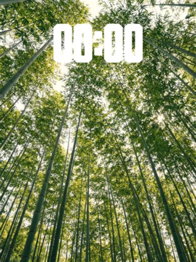 60-Min Emerald Bamboo Forest Timer 🎋✨ | Healing Nature Canopy & Study Zen Surrender your mind to the gentle whispers of the bamboo forest. 🌌 Melt away your anxiety and mental fatigue by looking up through this immense canopy of swaying green stalks and filtering sunbeams, featuring a 60-minute countdown timer. The soothing harmony of rich emerald and muted jade tones combined with the soft, natural rustling motion is carefully engineered to quiet mental chatter, clear brain fog, and lock your 