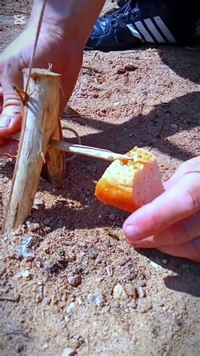 make a trap with wood #rat #animaltrap #trapper #trapper #trapinstrumental #mousetrap #shorts