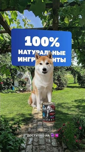 Природный вкус, знакомый собаке #чемкормимтьсобак