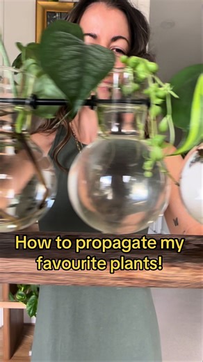How I water propagate my favourite indoor house plants! This video covers the fiddle leaf fig, pilea pepermioides, Scindapsis, begonia, philodendron, mini monstera, spider plants, snake plants AND some common water propagation mistakes and my prop tips 🥹🌿✂️ #waterpropagation #propagation #houseplants #plantcare #planttiktok #philodendron #flf