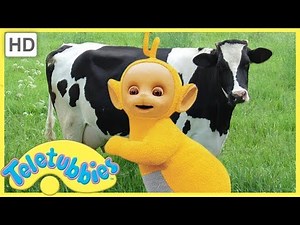 Milking Cows - Teletubbies English Full Episodes (S06E136)