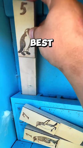 “The Most Epic Geocache Location Ever! ✈️ #NanoCache #TreasureHunt” | Stay Hullsome