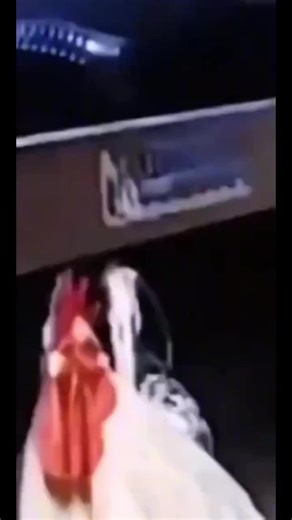 Funny Chicken Moments That Will Make You Laugh