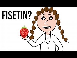Fisetin (senolytic potential)?