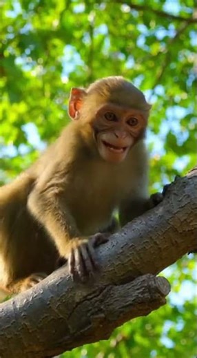 “Hippo didn’t expect a watermelon explosion 💥😂🍉”